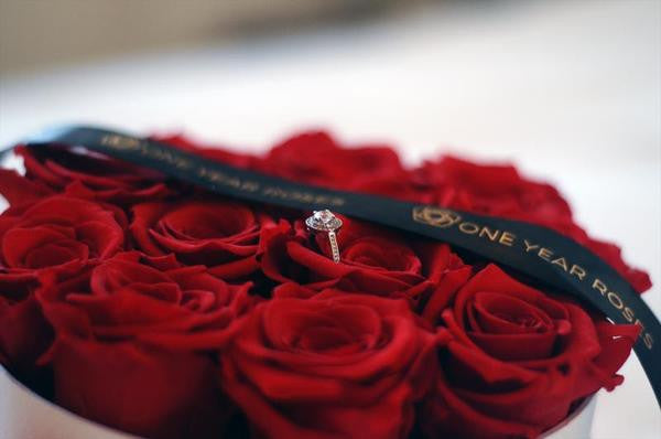 Roses - For The Perfect Proposal.