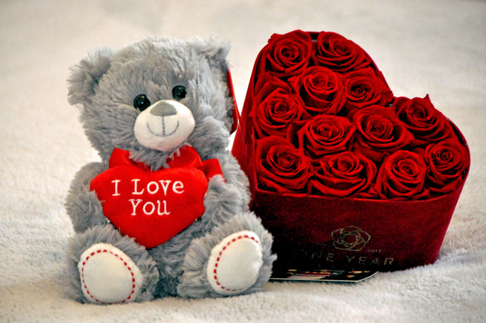 'I Love You' Grey Soft Teddy Bear - 20CM