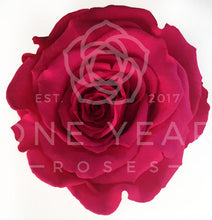 Petite Square Single Rose - Lasts 1 Year