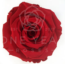 Petite Square Single Rose - Lasts 1 Year