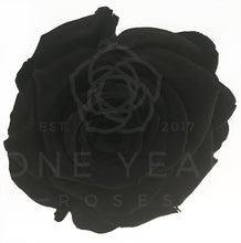 Petite Round Rose - Lasts 1 Year