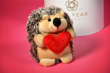 Cuddly Hedgehog with Love Heart - 15cm