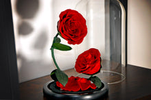 Twin Flame Enchanted Rose - Lasts 1 Year
